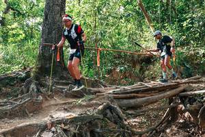 BIB: 
                            <button type="button" onclick="openModal(27716727)" class="btn btn-primary btn-sm float-right btn-popup" data-toggle="modal" data-target=".modal-high-quality">
                        <i class="fas fa-shopping-cart"></i> Add to Cart
                    </button>
                                            <button type="button" onclick="isThisMe(27716727, true)" class="btn btn-success btn-sm float-right btn-popup btn-isme hidden" data-toggle="tooltip" data-placement="bottom" title="นี่คือรูปของคุณใช่ไหม คลิกที่นี่เพื่อเอาเข้าอัลบั้ม">
                        <i class="fas fa-plus"></i> Add to album
                    </button>
                    <button type="button" onclick="isThisMe(27716727, false)" class="btn btn-warning btn-sm float-right btn-popup btn-isnotme hidden">
                        <i class="fas fa-ban"></i> Remove from album
                    </button>